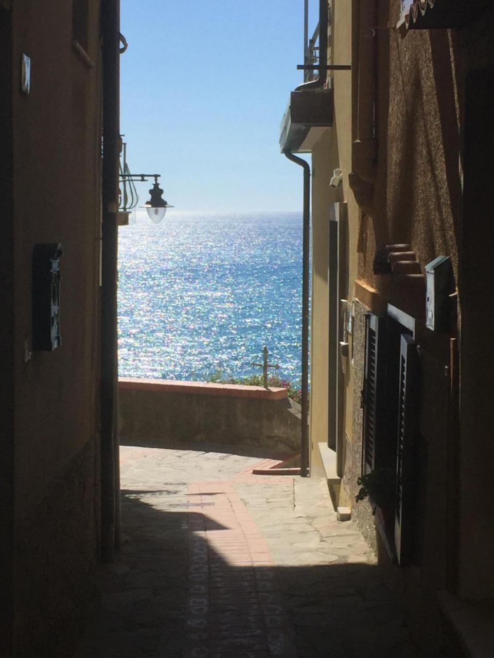 La Linea D'Acqua Apartment Manarola Exterior foto